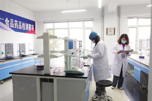 聚英才 展絕活 創(chuàng)未來(lái) 信息技術(shù)咨詢服務(wù)的時(shí)代價(jià)值