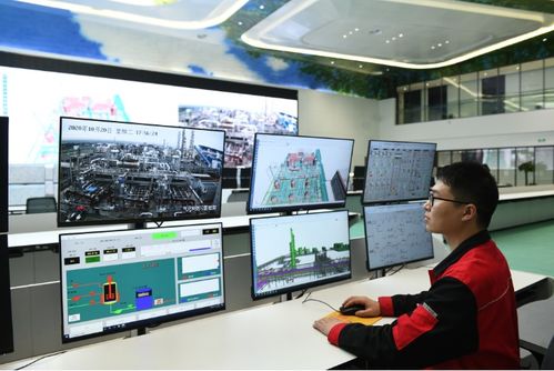 面向數字化未來，打造化工百年老店的信息技術咨詢服務