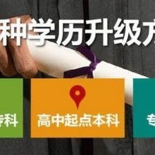 成都市金牌思維教育咨詢有限責任公司 專業教育咨詢，點亮成長之路
